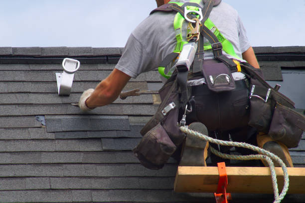 Roof Gutter Cleaning in Iowa Falls, IA