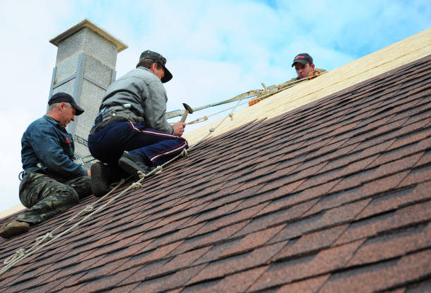 Best Storm Damage Roof Repair  in Iowa Falls, IA